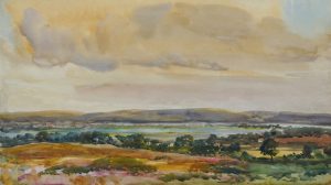 Near Wareham, Dorset