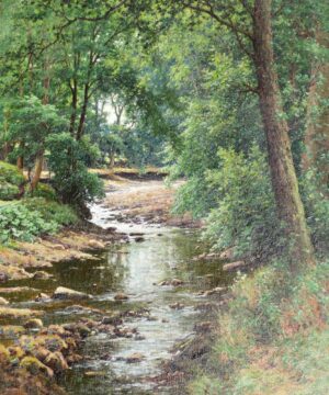 Woodland Stream