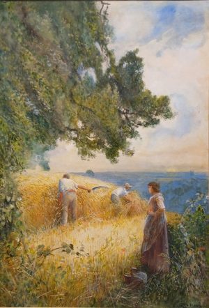 Harvesting Scene