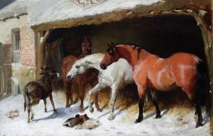 The Intruder