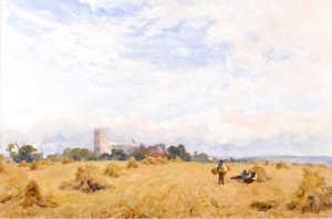 Christchurch Meadows, Dorset