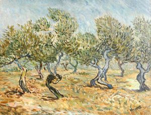 View in an Olive Grove