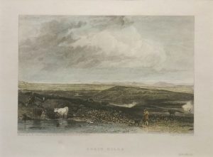 Braid Hills