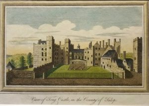 View of Tong Castle