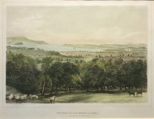 From the High Grounds Halswell