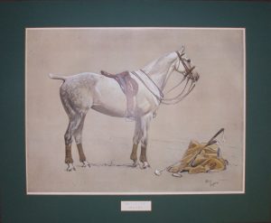 "Activity" Polo horse