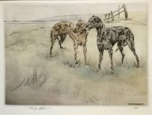 Lurchers