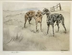 Lurchers