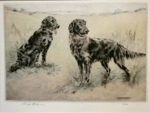 Flatcoat Retreivers