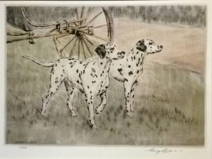 Dalmations