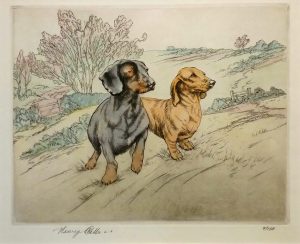 Dachshunds