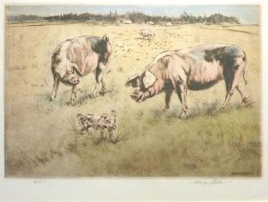 Saddlebacks & Piglets