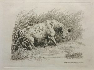 The Bull