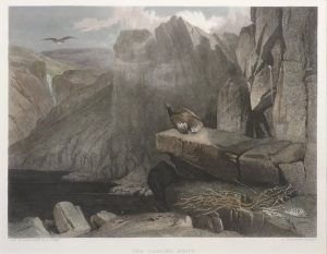 The Eagle's Nest