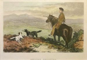 Grouse Shooting