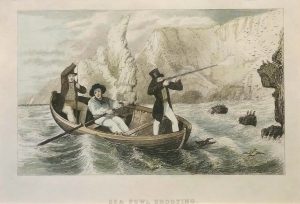 Sea Fowl Shooting