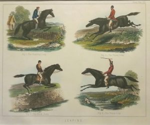 Leaping, The Standard Leap, The Flying Leap, The Buck Jump, The Water Leap