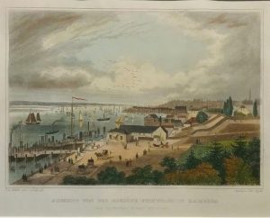 Aussicht von der Elb-Höhe (Stintfang) in Hamburg