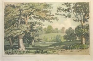 View of Cranbourn Tower, Windsor