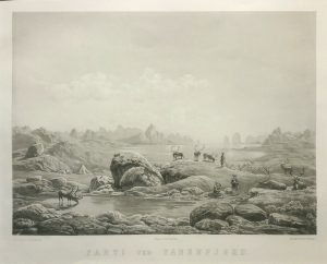 Parti ved Tanenfjord