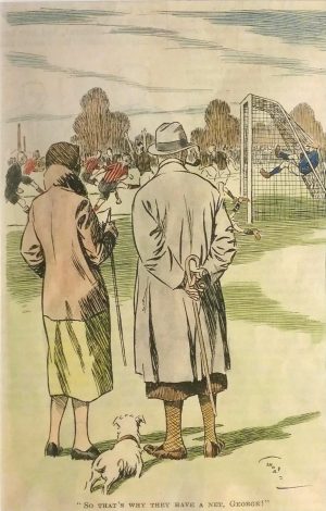 So that's why they have a net, George!