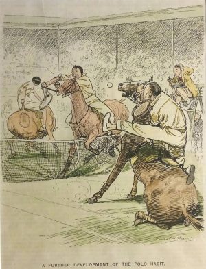 A furter development of the polo habit