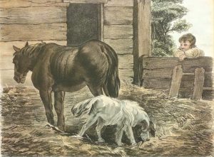 Horse & Dog