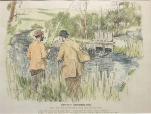 Dry-fly Entoology
