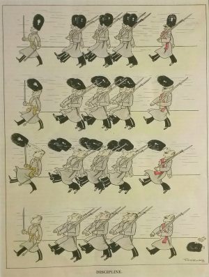 Discipline
