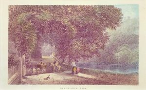 Bonchurch Pond, Ventnor