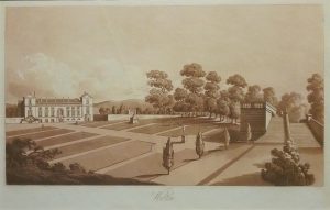 Wilton