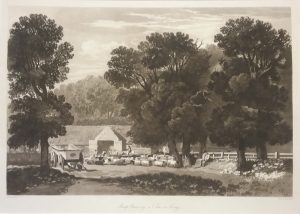 Sheep Shearing, a View in Surry (Surrey)