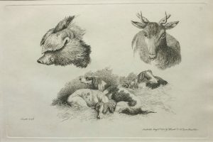 Pig, deer & hounds