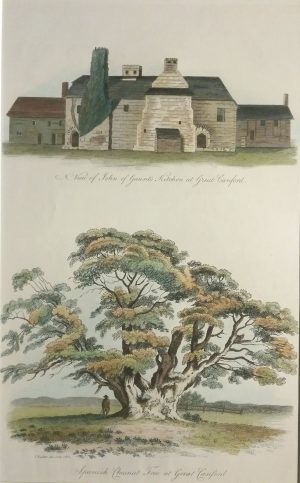 North View John of Gaunt's Kitchen & Spanish Chestnut Tree, Great Canford