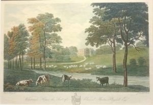 Whatcombe House, the Seat of Edmund Morton Pleydell Esq.