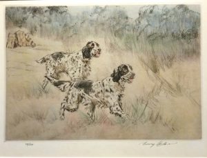 English Setters
