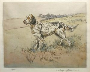 English Setter