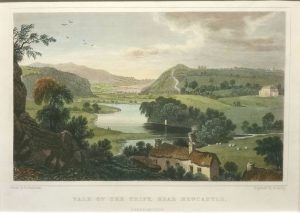 Vale of the Teify, near Newcastle