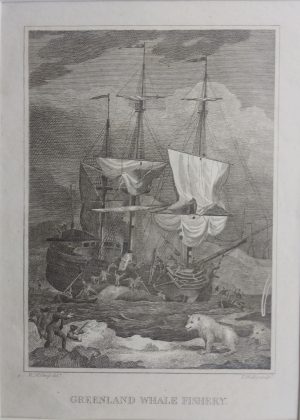 Greenland Whale Fishery