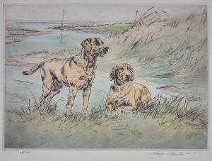 Pair of Yellow Labradors