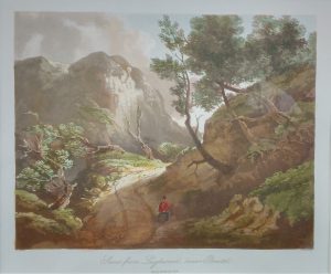 Scene from Leigh wood, near Bristol