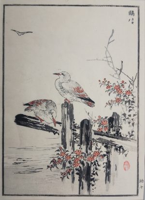 Gulls & Wild Roses