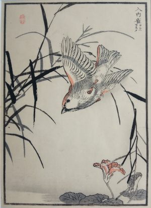 Russet Sparrow and Common Reed