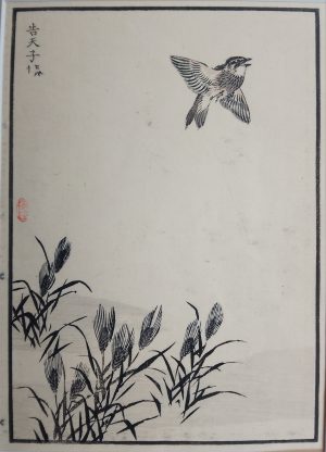 Skylark and Reeds