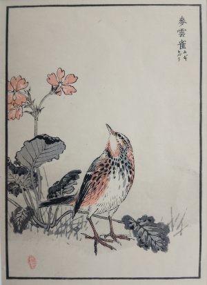 Skylark and Primroses