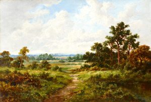 Path through the Fields
