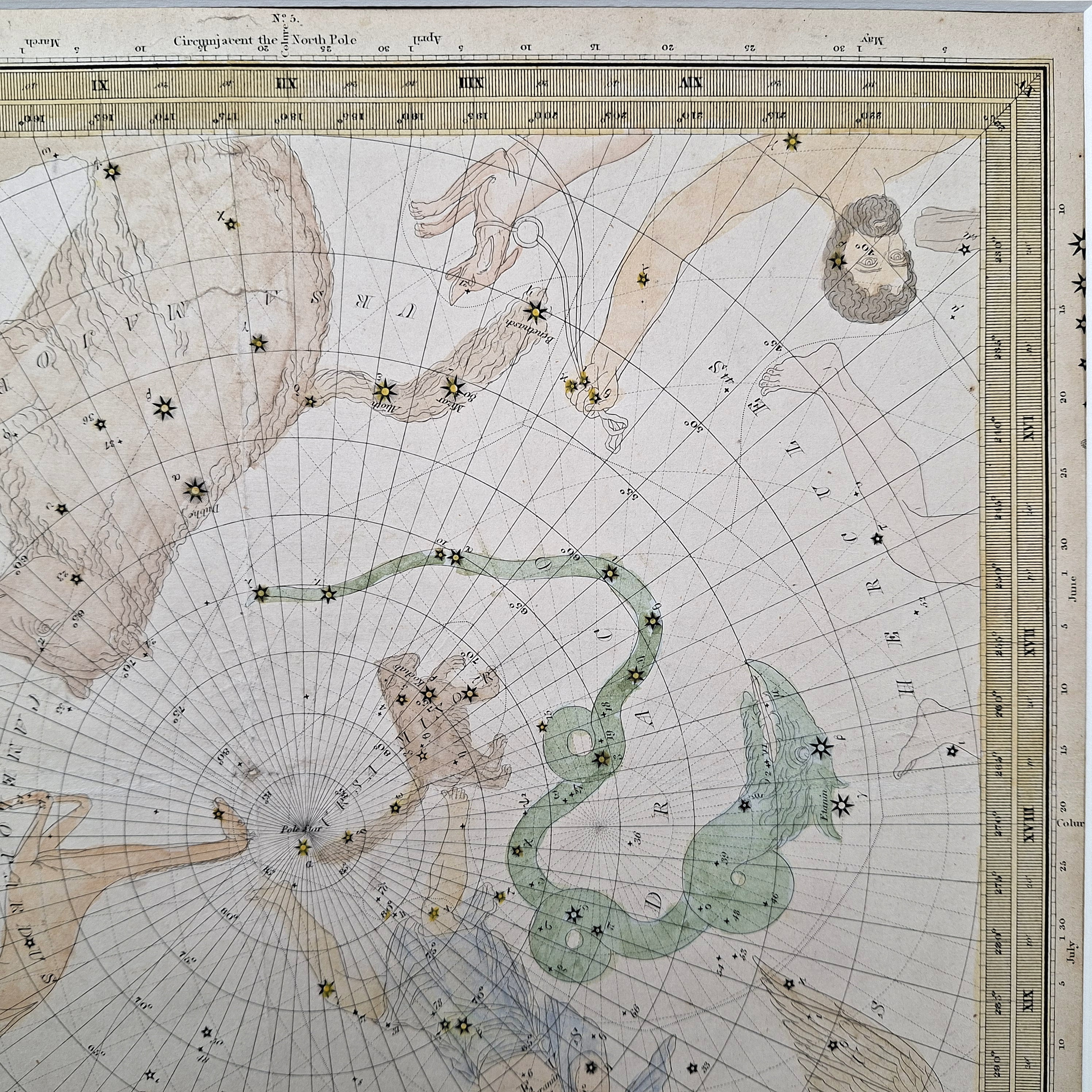Constellations of the Northern Hemisphere - Image 4