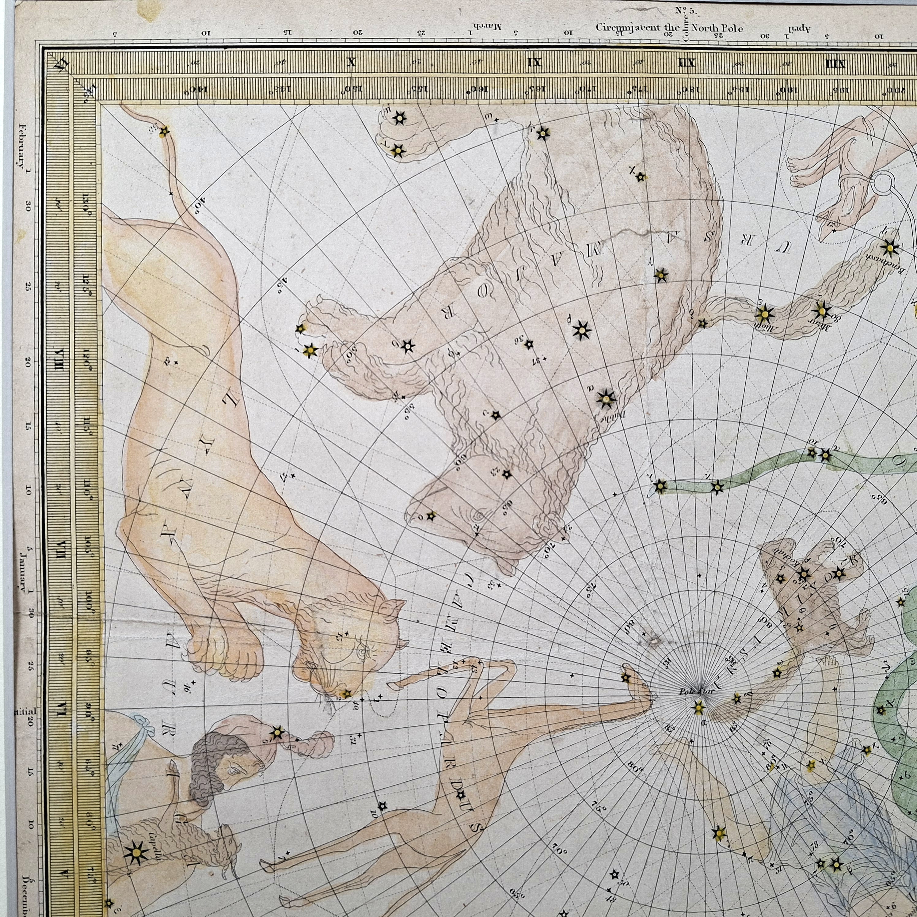 Constellations of the Northern Hemisphere - Image 5