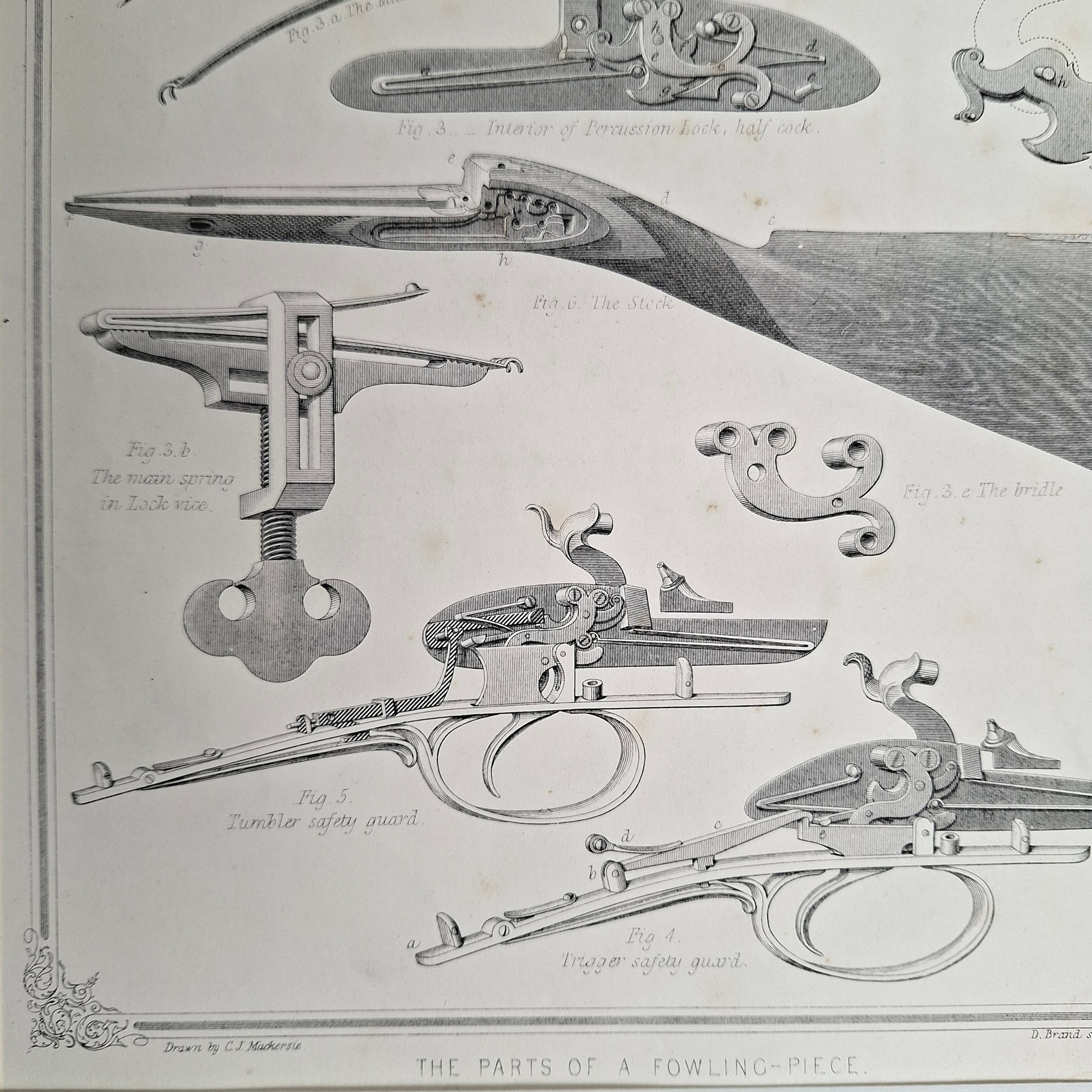 The Parts of a Fowling-piece - Image 2