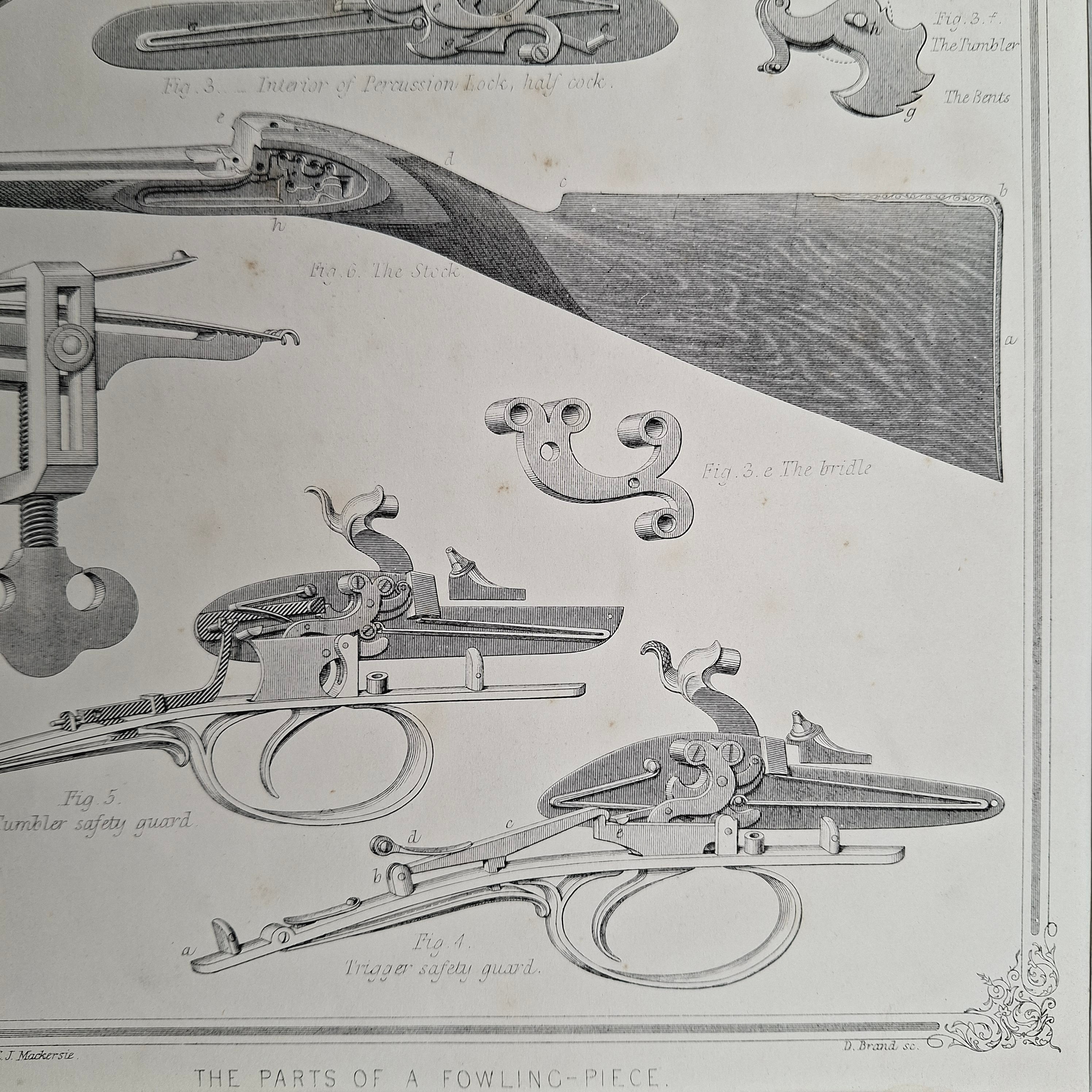 The Parts of a Fowling-piece - Image 4